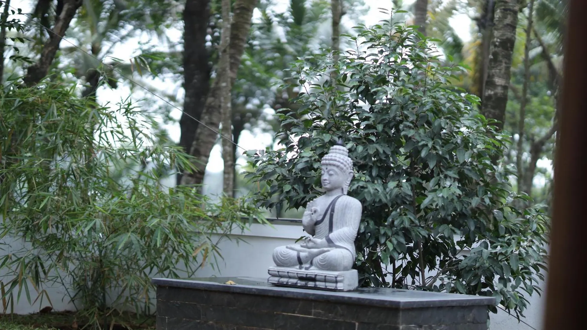 Paithrukam House , Luxury Earthy Homestay Mananthavady India